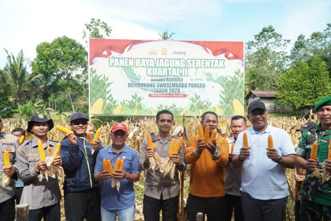 
					Kapolres AKBP Emil Eka Putra bersama Bupati Rohul, Panen Raya Jagung Serentak Kuartal ll di Dua Lokasi Berbeda