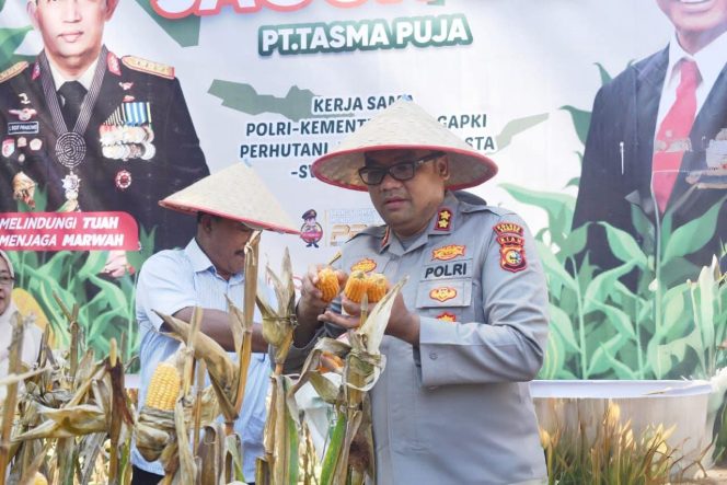 
					Dukung Pertanian, Kapolres Kampar AKBP Bobby Turun ke Ladang Panen Jagung