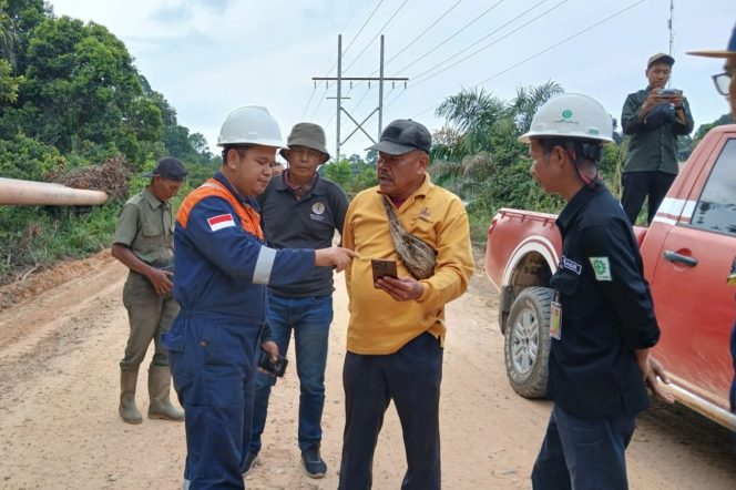 
					BBKSDA Riau Pastikan Harimau Viral di Siak Berada di Habitat Alami TN Zamrud