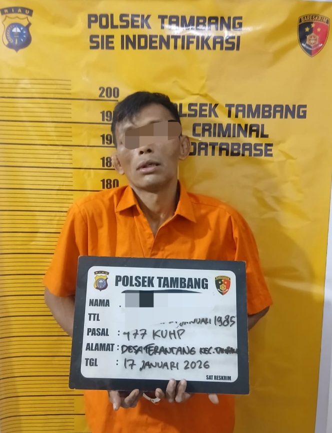
					Polsek Tambang Tangkap Spesialis Curanmor, Gasak 18 Motor di 9 Desa