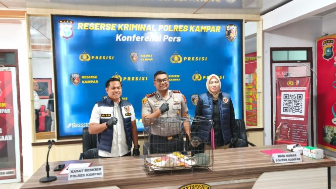 
					Polres Kampar Tangkap Penjual Owa Ungko di Bangkinang