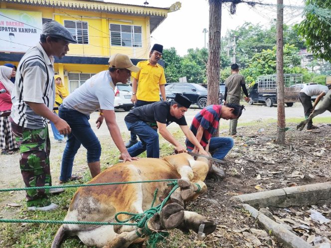 
					Idul Adha 1447 H, Iib Nursaleh Sembelih Sapi Kurban Fraksi Golkar DPRD Kampar