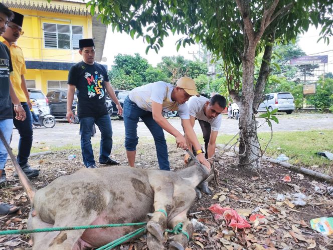 
					Dari PK Kampar untuk Kebersamaan, Firdaus Sembelih Kerbau Kurban Golkar