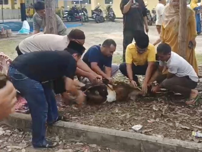 
					Min Amir Habib Efendi Pakpahan Pastikan Pelaksanaan Kurban Golkar Kampar Berjalan Lancar